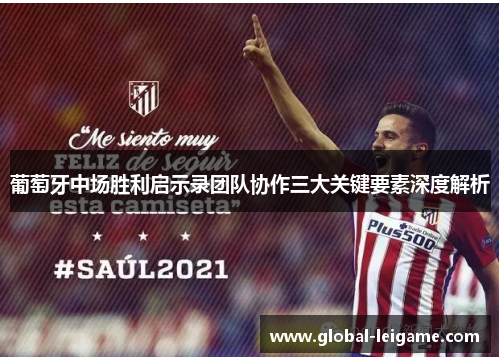 葡萄牙中场胜利启示录团队协作三大关键要素深度解析