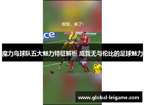 魔力鸟球队五大魅力特征解析 成就无与伦比的足球魅力 魔力鸟球队五大魅力特征解析 成就无与伦比的足球魅力